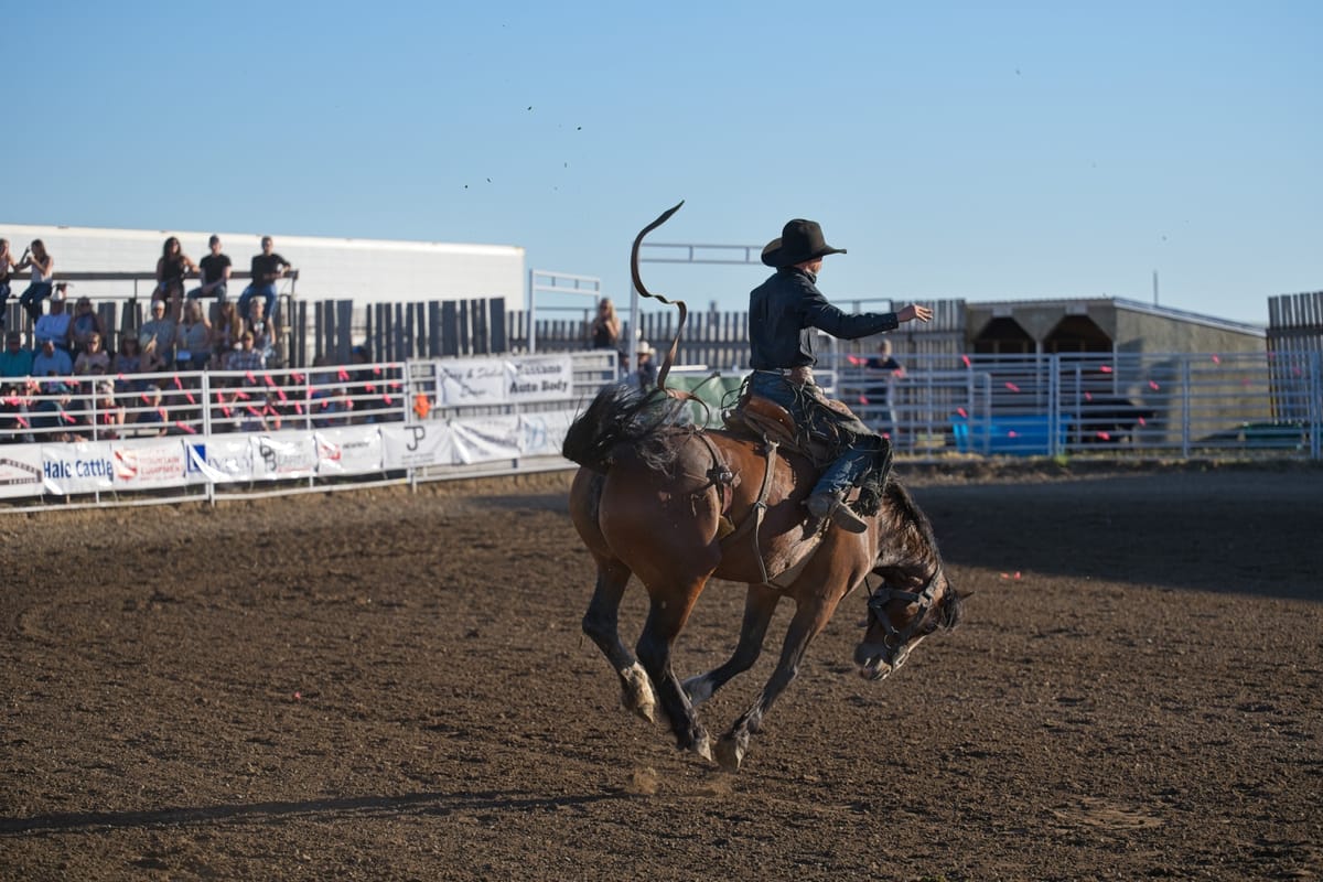 Rodeo Photos