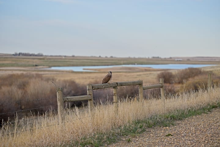 Alberta at a crossroad