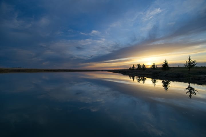 The Telos of Alberta