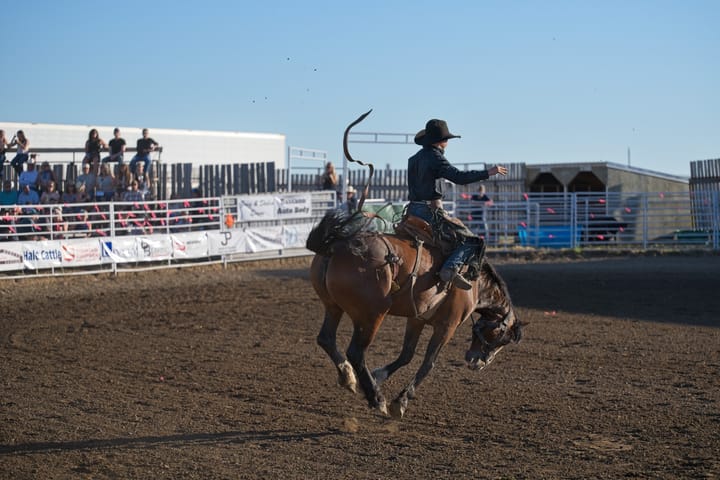 Rodeo Photos